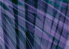 Cordyline Tartans 1.jpg